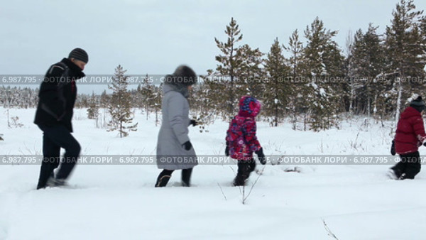 Дети с родителями идут по заснеженному болоту по глубокому снегу, Карелия. Стоковое видео, видеограф Кекяляйнен Андрей / Фотобанк Лори
