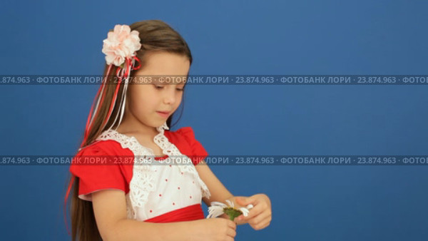 Девочка обрывает лепестки ромашки. Стоковое видео, видеограф Tatiana Kravchenko / Фотобанк Лори
