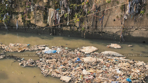 Dirty river in Dharavi slums. Mumbai. India. Стоковое фото, фотограф Mikhail Davidovich / Фотобанк Лори