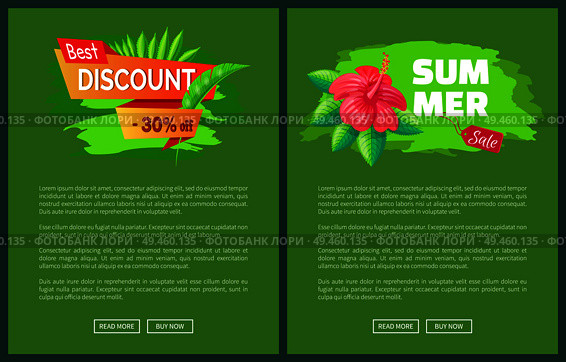 Discount best price summer sale emblems exotic pink flower with stroke, advertisements and tropical leaves, posters vector online web pages isolated on green. Summer Sale Emblems Exotic Pink Flower Web Posters. Стоковая иллюстрация, агентство Ingram Publishing / Фотобанк Лори