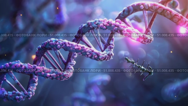 Discover the complexity of DNA with stunning visuals highlighting its structure and interactions in a dynamic molecular landscape. Стоковое AI-видео, аниматор Данила Большаков / Фотобанк Лори