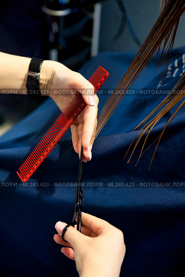 Discovering New Styles in a Vibrant Hair Salon With a Skilled Stylist at Work. Стоковое фото, фотограф Aleksandr Golubev / Фотобанк Лори