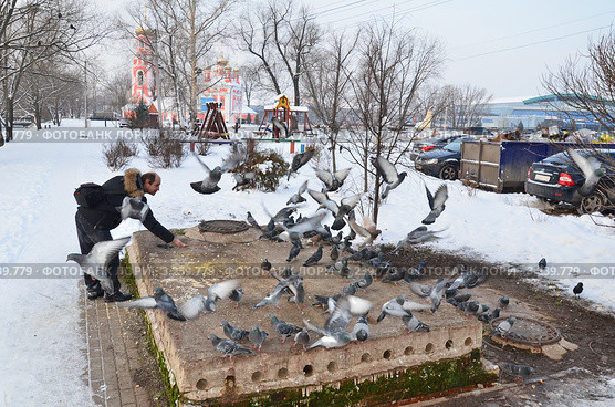 Дмитров. Мужчина кормит голубей (2012 год). Редакционное фото, фотограф Елена Коромыслова / Фотобанк Лори