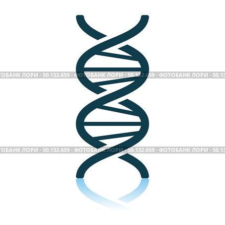 DNA Icon. Shadow Reflection Design. Vector Illustration. Стоковая иллюстрация, агентство Ingram Publishing / Фотобанк Лори