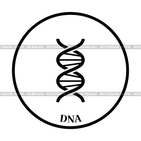 DNA icon. Thin circle design. Vector illustration. Стоковая иллюстрация, агентство Ingram Publishing / Фотобанк Лори