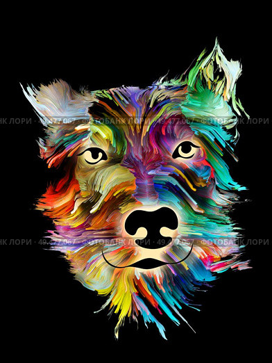 Dog digital portrait in digital oil colors on black background on subject of love, friendship, faithfulness, companionship between dog and man. God bless animals series. Стоковое фото, агентство Ingram Publishing / Фотобанк Лори