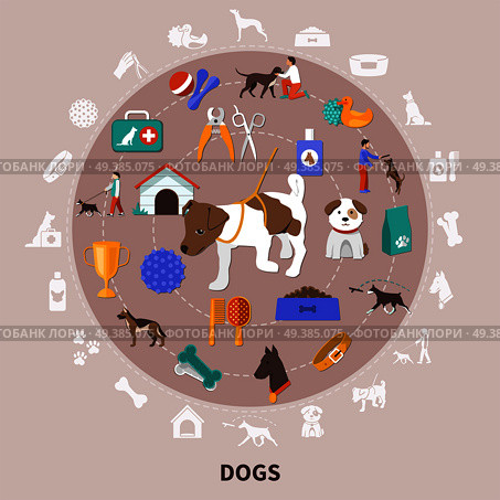 Dogs round composition with flat isolated images for pet owners with food toys grooming and training vector illustration. Dogs Pets Flat CIrcle Composition . Стоковая иллюстрация, агентство Ingram Publishing / Фотобанк Лори