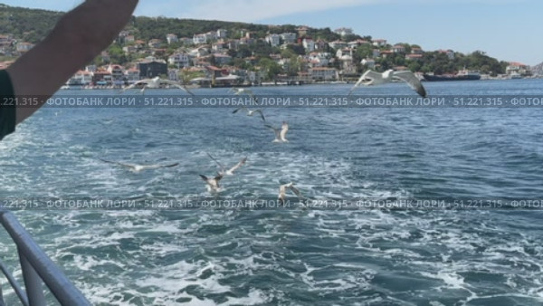 Dolmabahçe Palace waterfront view in Istanbul, Turkey, with Bosphorus Strait and cityscape in the distance. Summer sunny day with boats, seagulls, and blue water of the sea.Aerial drone ferryboat traveling Bosphorus Istanbul A wide view of the Bosphorus Strait in Istanbul, with the city's skyline and coastal buildings in the background. A ship sails across the calm waters under the clear blue skySeagulls soar above the ferry cruising the Bosphorus on a sunny day, Seagulls flying behind the ferry cruising Bosphorus in Istanbul, Turkey. Редакционное видео, видеограф Zita Khasanova / Фотобанк Лори