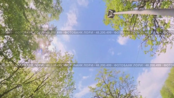 Дорога пуста. Небо голубое. Деревья зеленые. Съемка на 360 градусов. Стоковое видео, видеограф Ярославский Максим / Фотобанк Лори
