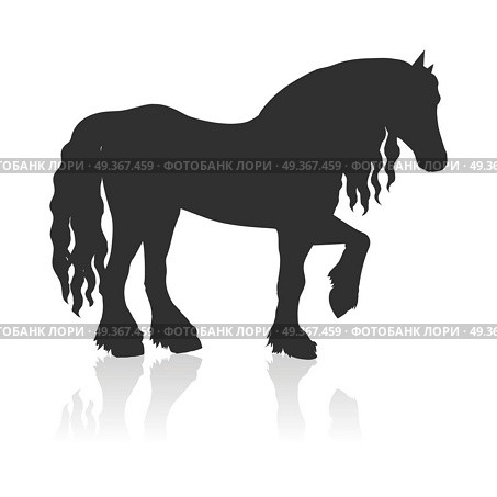 Draft Horse Vector Illustration in Flat Design. Black draft horse with curly mane vector. Flat design. Domestic animal. Country inhabitants concept. For farming, animal husbandry, horse sport illustrating. Agricultural species. Isolated on white. Стоковая иллюстрация, агентство Ingram Publishing / Фотобанк Лори