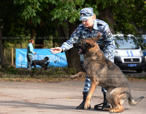 Дрессировка служебной собаки (2018 год). Редакционное фото, фотограф Free Wind / Фотобанк Лори