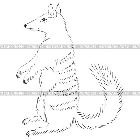 Древнее сумчатое животное. Sketch illustration with cute cartoon style. Стоковая иллюстрация, иллюстратор Ольга Головкина / Фотобанк Лори