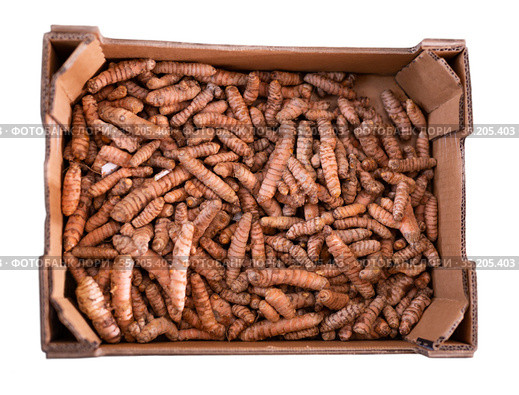 Dried turmeric rhizomes in cardboard box for sale. Стоковое фото, фотограф Яков Филимонов / Фотобанк Лори