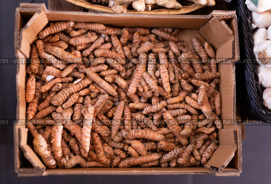 Dried turmeric rhizomes in cardboard box for sale. Стоковое фото, фотограф Яков Филимонов / Фотобанк Лори