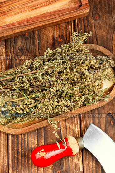 Dried wormwood herb for medicinal tea on rustic wooden table. Wormwood in phytotherapy.. Wormwood, dried medicinal herbs on wooden background. Стоковое фото, агентство Ingram Publishing / Фотобанк Лори