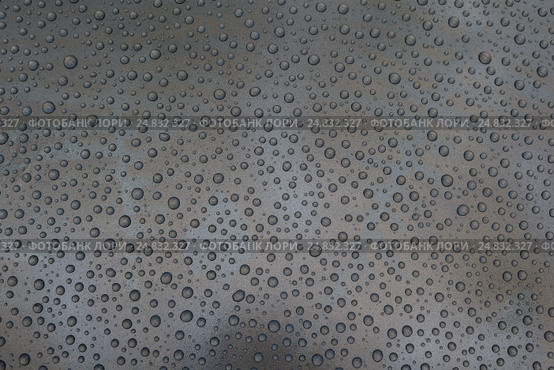 Drops on a gray background. Стоковое фото, фотограф Виталий Веревкин / Фотобанк Лори