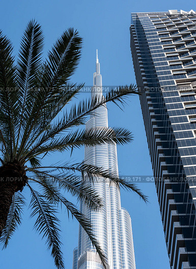 Dubai, United Arab Emirates Incredible architecture of tallest skyscraper in world main attraction of Dubai Burj Khalifa. Travel in Arab Emirates (2023 год). Стоковое фото, фотограф Павел Муравьев / Фотобанк Лори