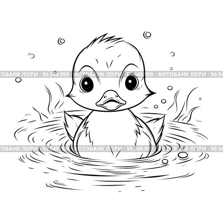 Duckling swimming in water. Black and white vector illustration. Стоковая иллюстрация, агентство Ingram Publishing / Фотобанк Лори