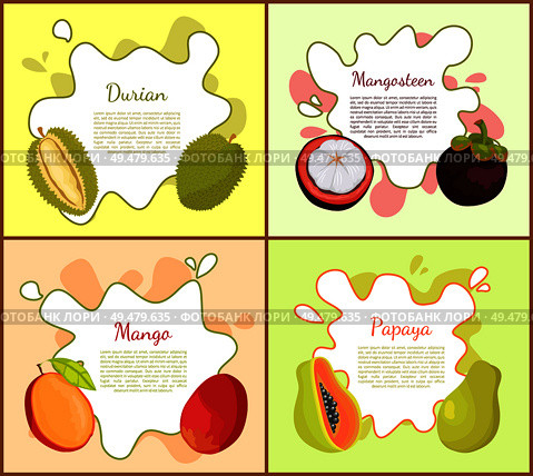 Durian, and mangosteen, ripe succulent mango and papaya with seeds. Posters with text sample set of tropical fruit, exotic nutritious products vector. Durian, and Mangosteen Mango Vector Illustration. Стоковая иллюстрация, агентство Ingram Publishing / Фотобанк Лори