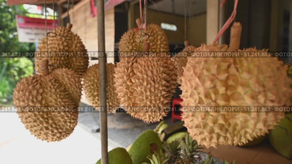 Durians on the counter at market. Exotic tropical fruit. Asian king of fruits. Стоковое видео, видеограф Степанов Григорий / Фотобанк Лори