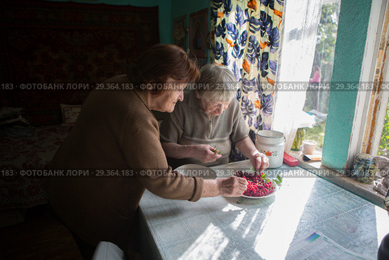 Две дачницы перебирают ягоды. Стоковое фото, фотограф Марина Володько / Фотобанк Лори