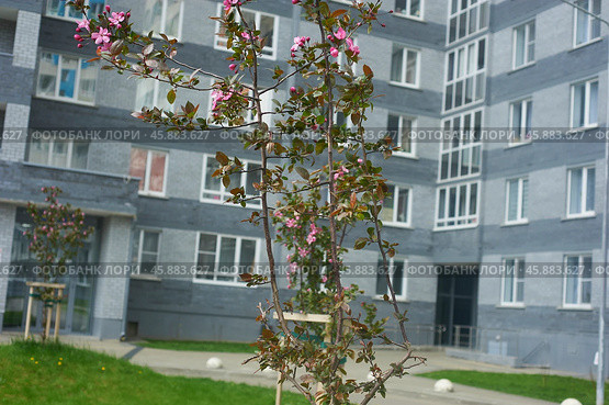 Двор и новостройки многоэтажных домов в городе Екатеринбурге по улице Дорожной 14. Жилищный комплекс "Весна" Courtyard and new buildings of multi-storey buildings in Yekaterinburg on Dorozhnaya street 14.Vesna Housing Complex (2022 год). Стоковое фото, фотограф Юрий Карачев / Фотобанк Лори