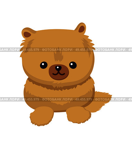 Dwarf Spitz picture, poster with animal with fluffy fur and cute face, pet with fun expression, doggy vector illustration isolated. Dwarf Spitz Picture Poster Vector Illustration. Стоковая иллюстрация, агентство Ingram Publishing / Фотобанк Лори