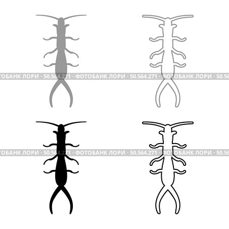 Earwig set icon grey black color vector illustration image simple solid fill outline contour line thin flat style. Earwig set icon grey black color vector illustration image solid fill outline contour line thin flat style. Стоковая иллюстрация, агентство Ingram Publishing / Фотобанк Лори