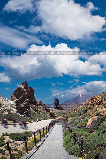 Echium wildpretii .Famous Finger Of God rock in Teide national park. Tenerife island - Canary, Spain. Famous Finger Of God rock . Стоковое фото, агентство Ingram Publishing / Фотобанк Лори