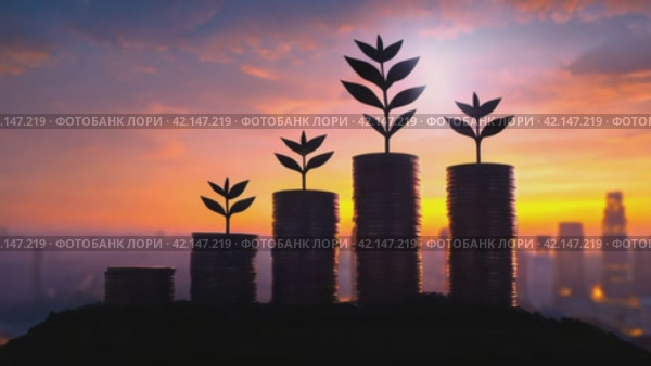 Economic Growth Concept with Seedlings and Coins. Economic growth and investment and sustainable development in business. Panorama with copy space. Стоковое AI-видео, аниматор Ольга Сухарева / Фотобанк Лори