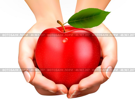 ed ripe apple in a hands. Concept of diet. Vector. . Стоковая иллюстрация, агентство Ingram Publishing / Фотобанк Лори