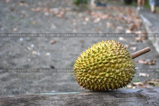 Экзотический фрукт дуриан / Durian Exotic fruit. Стоковое фото, фотограф Сергей Митрофанов / Фотобанк Лори