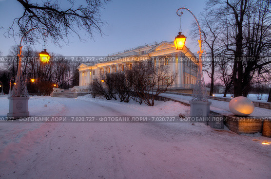 Елагиноостровский дворец в Петербурге зимой (2015 год). Стоковое фото, фотограф Алексей Марголин / Фотобанк Лори