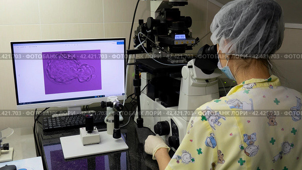 Embryologists conduct tests with human eggs. in the reproduction lab. Стоковое фото, фотограф Андрей Шалари / Фотобанк Лори