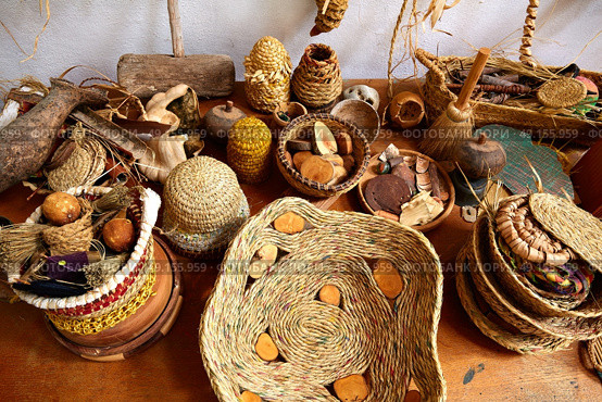 Esparto halfah grass used for crafts as cords basketry and espadrilles. Стоковое фото, агентство Ingram Publishing / Фотобанк Лори