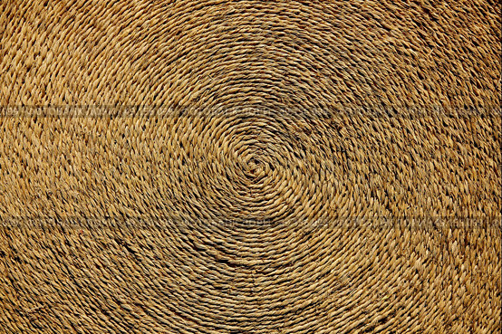 Esparto halfah grass used for crafts as cords basketry and espadrilles. Стоковое фото, агентство Ingram Publishing / Фотобанк Лори