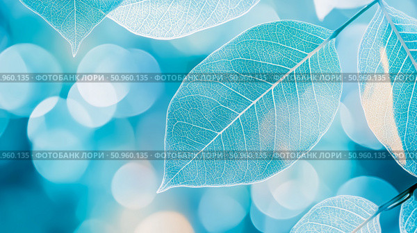 Ethereal Transparent Leaf Skeletons in Shades of Aqua Blue with Soft Bokeh Light, a Gentle Nature Abstract for Digital Art. Стоковое AI-изображение, AI-художник Данила Большаков / Фотобанк Лори
