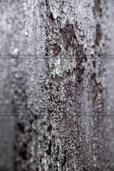 extremely close up rusty iron walls 2. Стоковое фото, агентство Ingram Publishing / Фотобанк Лори