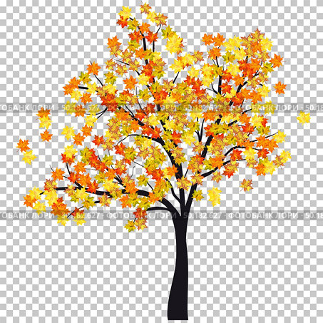 Fall (Autumn) Maple Background. Transparency Grid Design. Vector Illustration. Стоковая иллюстрация, агентство Ingram Publishing / Фотобанк Лори