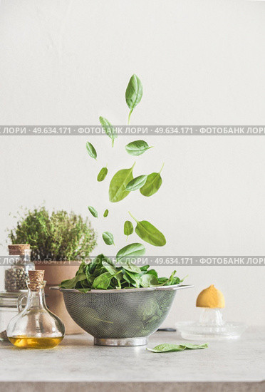 Falling green spinach leaves in sieve on kitchen table with ingredients:  olive oil, potted herbs, lemon and pepper. Food levitation concept. Healthy cooking preparation at home. Front view. Стоковое фото, агентство Ingram Publishing / Фотобанк Лори