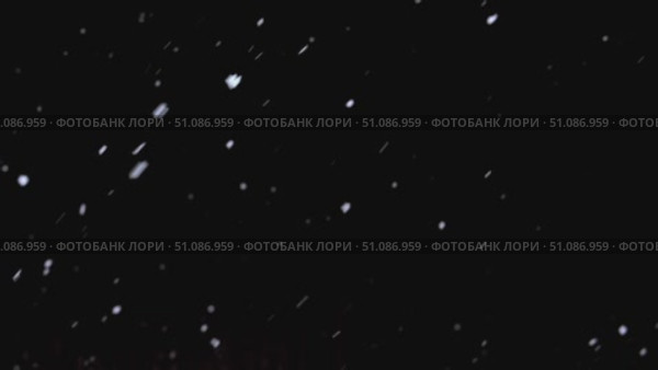 Falling snow on black background. Real Snow falling on dark outside. Small snowflakes over night. Christmas. Defocused Particles. Slowly white bokeh. Heavy snowfall. Winter fairy tale atmosphere. Стоковое видео, видеограф Марина Демидюк / Фотобанк Лори