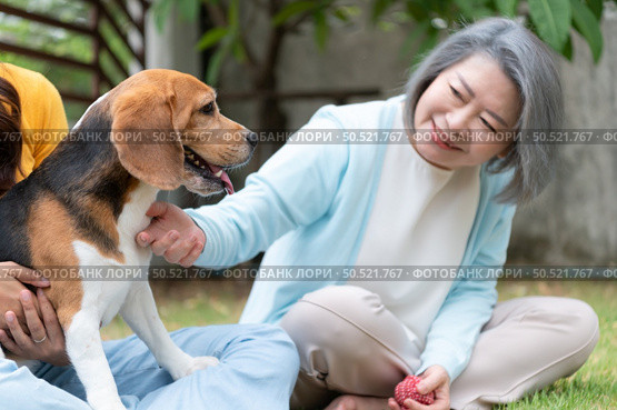 Family vacation, mother, daughter, and beagle puppy relaxing on weekends in the front yard. Стоковое фото, агентство Ingram Publishing / Фотобанк Лори