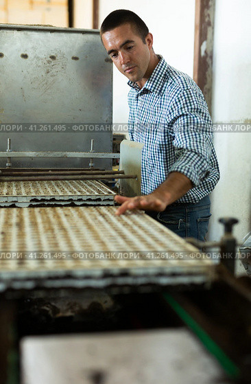 Farmer man working with automatic filling and seeding line for growing containerized seedlings of decorative plants in greenhouse. Стоковое фото, фотограф Яков Филимонов / Фотобанк Лори