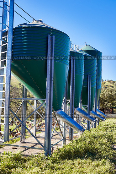 Feed hopper for livestock in green metal outdoor. Стоковое фото, агентство Ingram Publishing / Фотобанк Лори