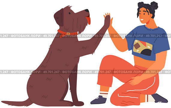 Female pet owner plays with dog. Caring for four-footed friend concept. Happy lady with puppy, domestic animal isolated on white. Dog follows command, gives paw to woman. Girl training doggy give five. Happy lady with puppy, domestic animal in cozy living room. Dog follows command, gives paw to woman. Стоковая иллюстрация, агентство Ingram Publishing / Фотобанк Лори