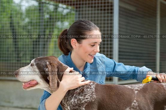 female vet stroking dog at animal shelter. Стоковое фото, агентство Ingram Publishing / Фотобанк Лори