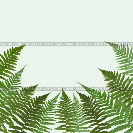 Fern Leaf Vector Background Illustration EPS10. Fern Leaf Vector Background Illustration. Стоковая иллюстрация, агентство Ingram Publishing / Фотобанк Лори
