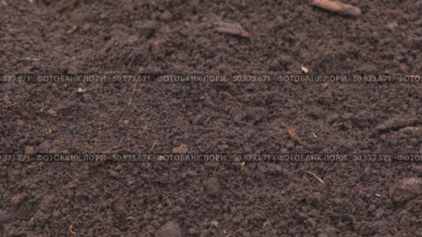 Fertile soil close-up. Richland in field. Black soil background. Natural ecological farming. Agricultural business. Humus, fertilized land. Bio agriculture and eco friendly cultivation. Rich land 4K. Стоковое видео, видеограф Марина Демидюк / Фотобанк Лори