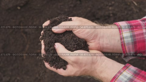 Fertile soil in male hands. Farmer hold rich land in field. Handful black soil. Natural ecological farming. Agricultural business. Humus, fertilized land. Bio agriculture and eco friendly cultivation. Стоковое видео, видеограф Марина Демидюк / Фотобанк Лори