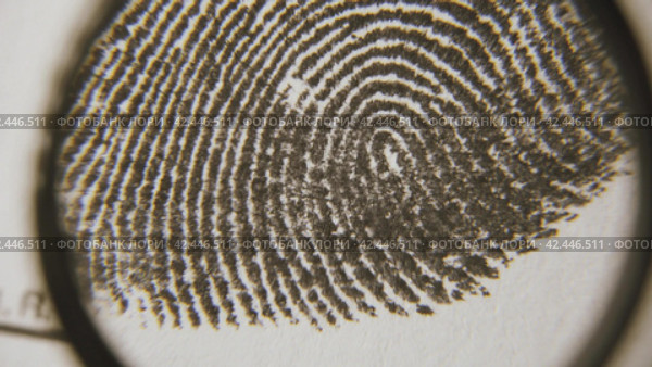Fingerprints are investigated on fingerprint card. Macro shot. Стоковое видео, видеограф EStarodubov / Фотобанк Лори